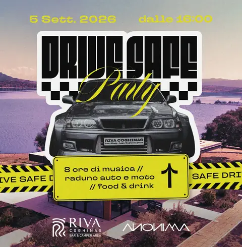 Locandina di Drive Safe Party
